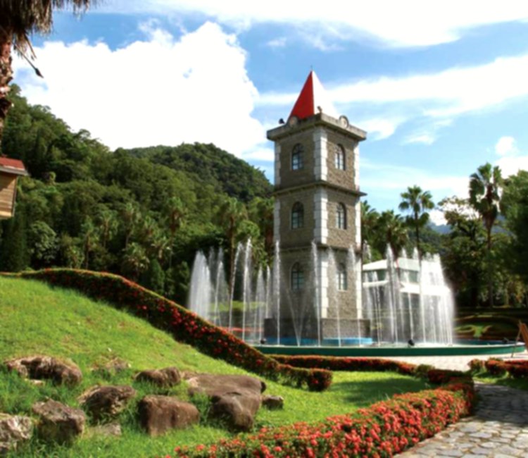 楓香巨木群公園