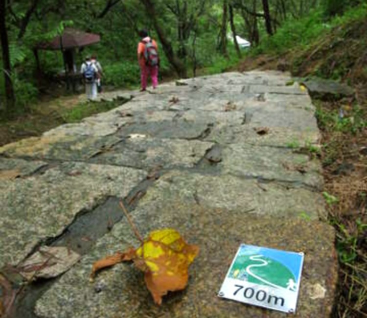 南港山系_麗山橋口親山步道